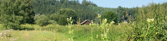 Torferlebnispfad Bremental